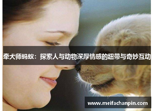 牵犬师蚂蚁：探索人与动物深厚情感的纽带与奇妙互动
